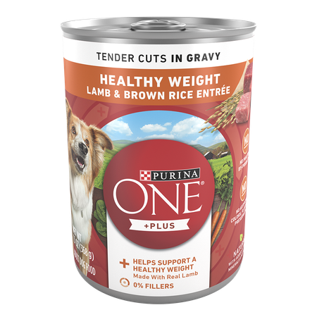 Purina ONE +Plus Healthy Weight Tender Cuts In Gravy Lamb & Brown Rice Entrée Wet Dog Food