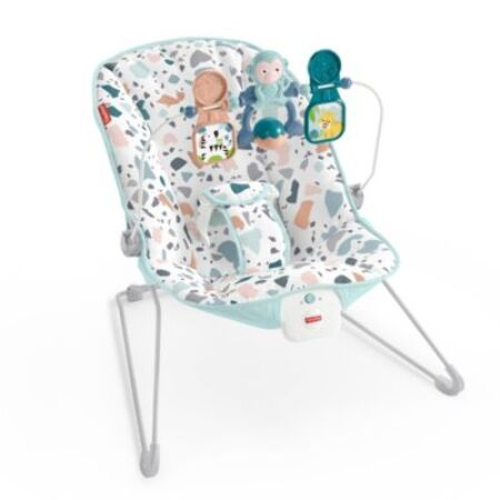 fisher price happy forest bouncer