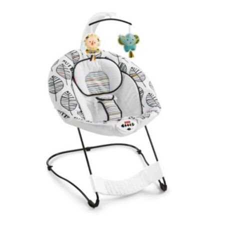 fisher price bouncer