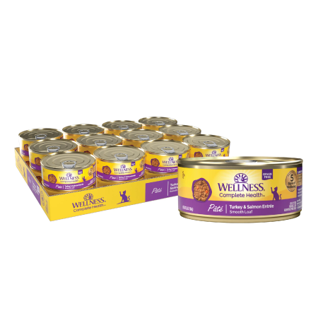 Wellness Complete Health Pate Adult Wet Cat Food, Natural, Protein-Rich, Grain Free, 5.5 Ounce, 24 Pack, (Turkey & Salmon)