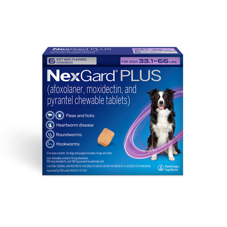 NexGard® PLUS (afoxolaner, moxidectin, and pyrantel chewable tablets) for Dogs, 8.1 to 17 lbs. 1 Chew