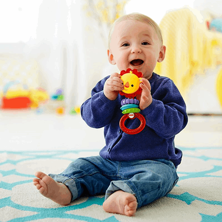 Fisher-Price CGR32 Lion Rattle